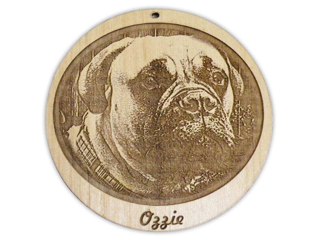 激光木雕機(jī)項目