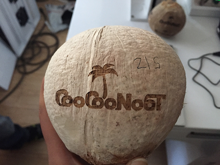 實惠價格 CO2 椰子激光水果打標機